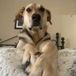 Fletcher Walker - @goodboy.fletcher - Instagram