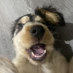 Fletcher Walls - Facebook