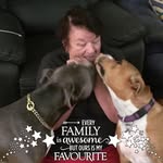 Ann Fletcher-walsh - @annfletcherwalsh - Instagram