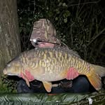 Fletcher Walsh - @fletchwcarping - Instagram