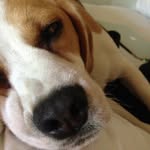 Fletcher Walters - @lord.fletcher.walters - Instagram