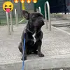 Fletcher Ward - @fletcher.ward84 - TikTok