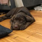 Fletcher Ward - Facebook