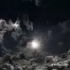 Fletcher ward - @fletch.51 - TikTok