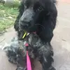 fletcherward1 - @fletcherward1 - TikTok