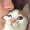 user6313005745539 - @fletcherwebsterfgyprs - TikTok