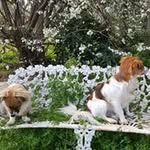 Simone Fletcher-Wells - @simonefletcherwells - Instagram