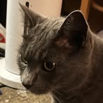 Fletcher West - Facebook