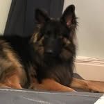 Fletcher Westwood - @fletcher_westy - Instagram