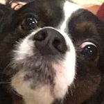 Fletch F. Fletcher Wise - @fletch.f.fletcher.w - Instagram