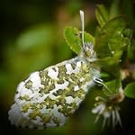 @fletcher_woods - Instagram