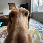 Fletcher wright - @fletcherwright520 - Instagram