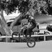 Fletcher Young - Facebook