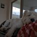 Fleur Anderson - Facebook