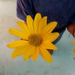 Flor Barrón - Facebook