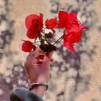 Fleur Blake - Facebook