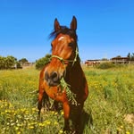 @fle_urbrown - Instagram