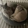 fleurbrown2 - @fleurrussell2 - TikTok