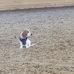 Fleur Bryan - @fredthefemaleroadhound - Instagram