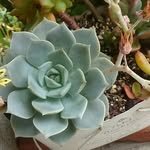 fleur - @fleur___green - Instagram