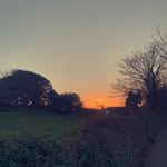 fleur harrison - @fl3ur.gsy - Instagram
