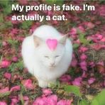 Fleur Hunter - Facebook