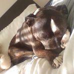 Fleur Hunter - Facebook