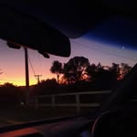 Fleur - @fleurkingstonn - Instagram
