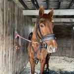 Fleur Kingsford - @fleurkingsfordeventing - Instagram