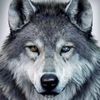 King Fleur - @rora.kingfleur - TikTok