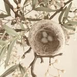 Fleur Lewis - @fleurlewisdesigns - Instagram