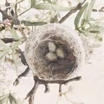Fleur Lewis - @fleur.tomlinson72 - Instagram