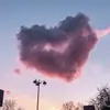 fleur - @fleurmillers - TikTok