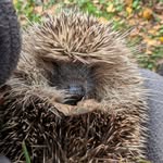 Fleur Phillips - @fleurbe5 - Instagram