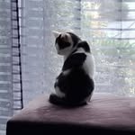 Fleurs Rose - @fleurrose806 - Instagram