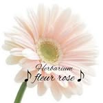 フラワー・ハーバリウム雑貨クリエイター💐【Herbarium fleur rose®︎】♡初心者様から楽しめるハンドメイド教室♡ - @fleur.rose.y - Instagram