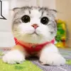 haruistore - @fleursmith00 - TikTok