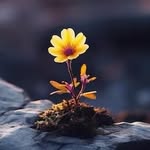 Fleurstone - @fleurstone.flowers - Instagram