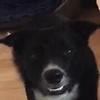 user4373056391626 - @fleur.thompson - TikTok