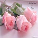 Fleur Wagner - Facebook