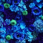fleur - @fleur_walker - Instagram