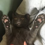Fleur Walker - @fleurmuma - Instagram