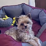 Fleur Walker - Facebook