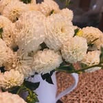 Fleur Walker - @forageandbloom1592 - Instagram