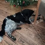 Fleur Wilson - @fleurw45 - Instagram