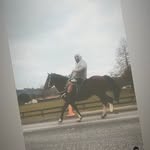 Flint Wallace - @flintwallace270 - Instagram