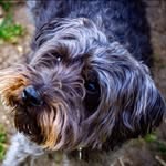 Flo - @flo.carter_ - Instagram