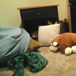 curtis flokstra - @curtisflokstra - Instagram