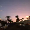 Flo Curtis - @flocurtis - TikTok