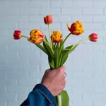 Fitzgerald’s Florals - @fitzgeraldsflorals - Instagram